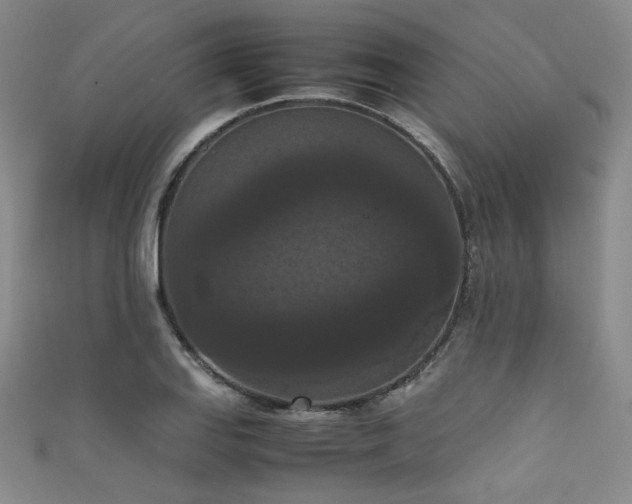 X0000111861127200907231446