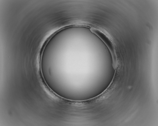 X0000111861128200907231446