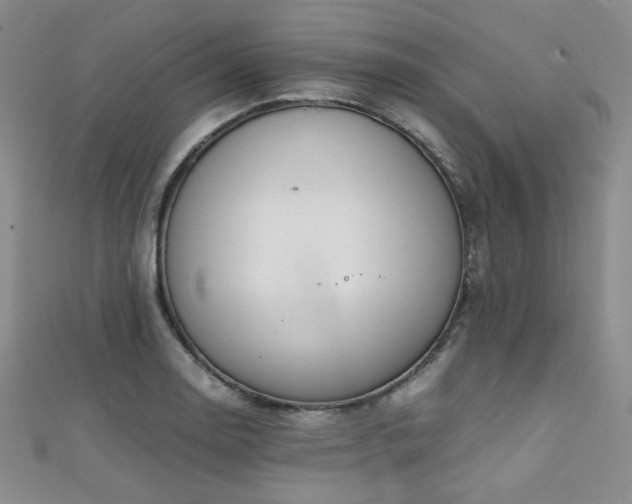 X0000111861130200907231446