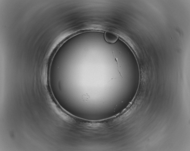 X0000111861131200907231446
