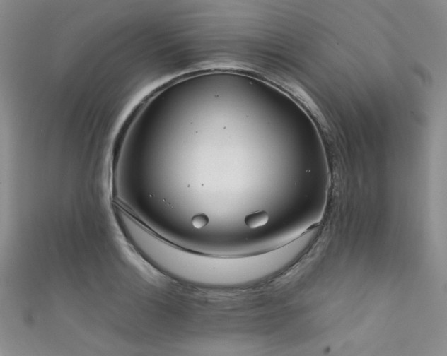 X0000111861132200907231446