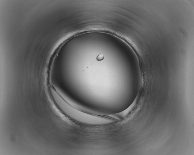 X0000111861134200907231446