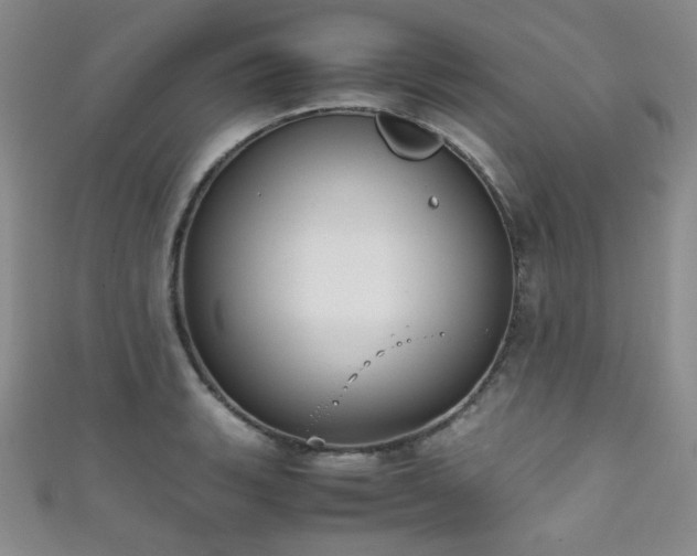 X0000111861135200907231446