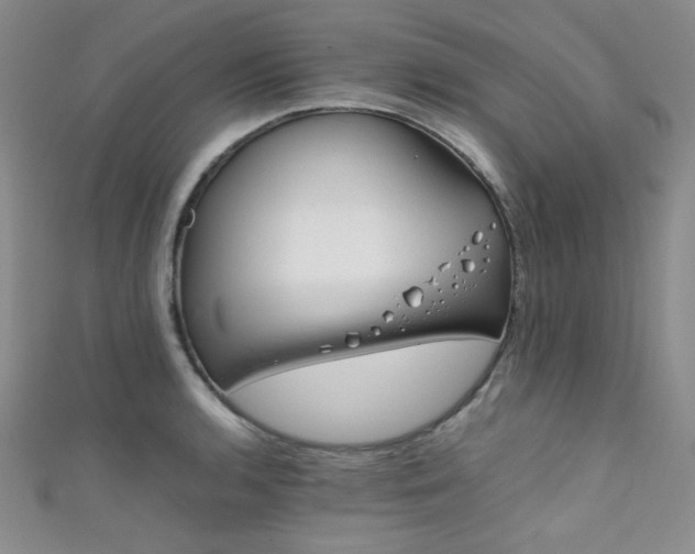 X0000111861136200907231446