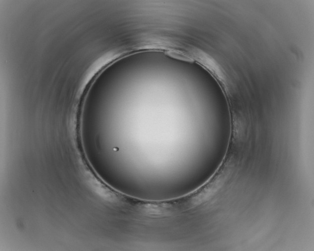 X0000111861138200907231446