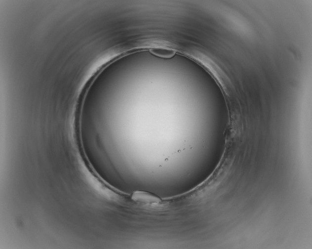 X0000111861139200907231446