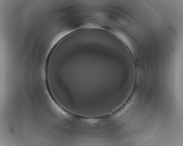 X0000111861141200907231446