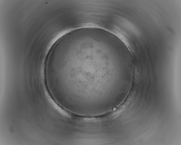 X0000111861142200907231446