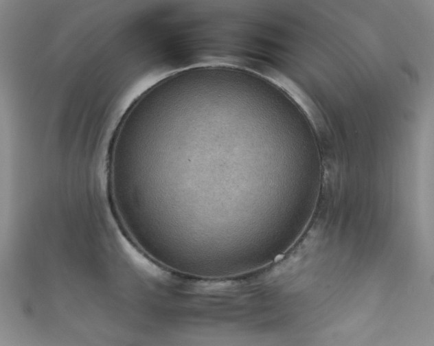 X0000111861143200907231446