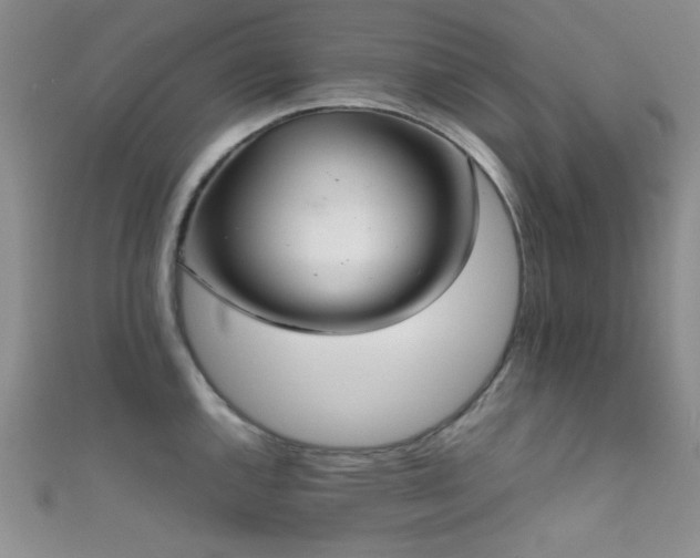 X0000111861144200907231446