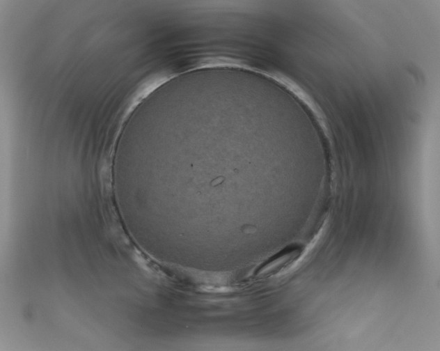 X0000111861145200907231446