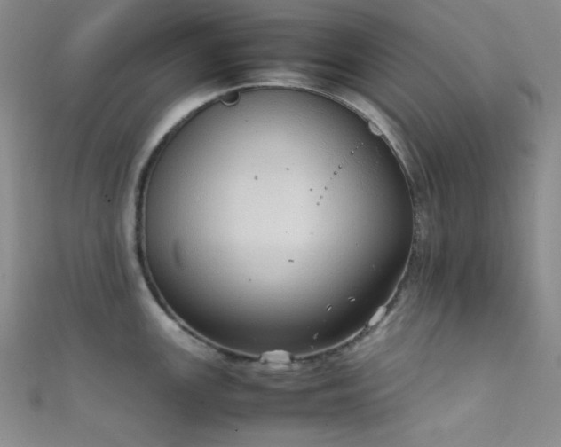 X0000111861147200907231446