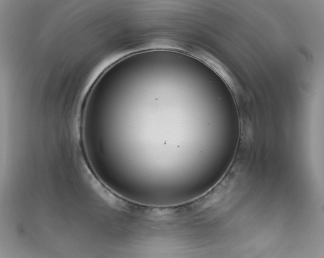 X0000111861148200907231446