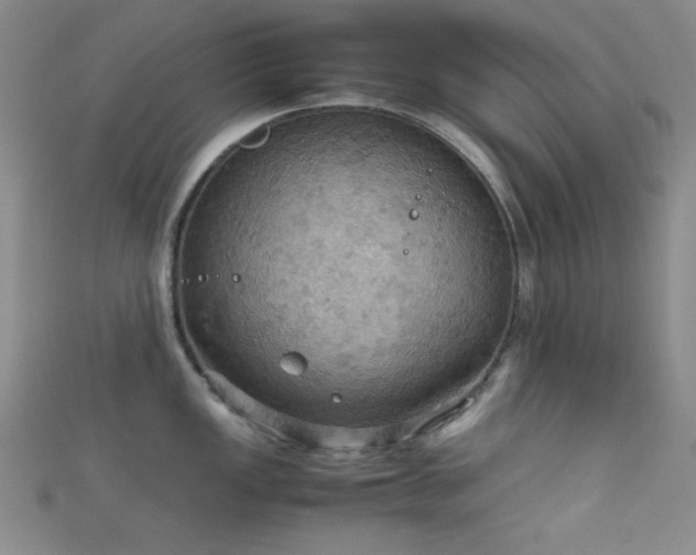 X0000111861149200907231446
