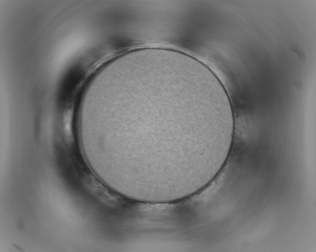 X0000111861150200907231446