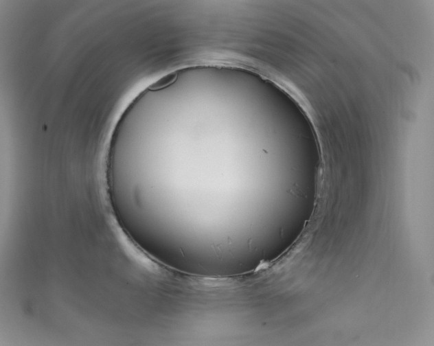X0000111861152200907231446