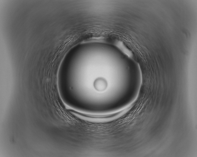 X0000111861153200907231446