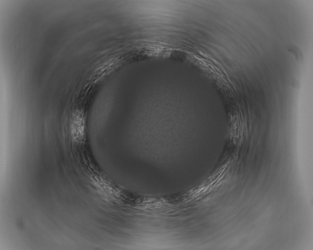 X0000111861154200907231446