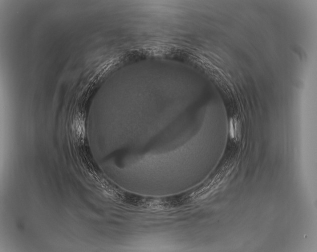 X0000111861155200907231446