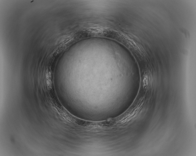 X0000111861156200907231446