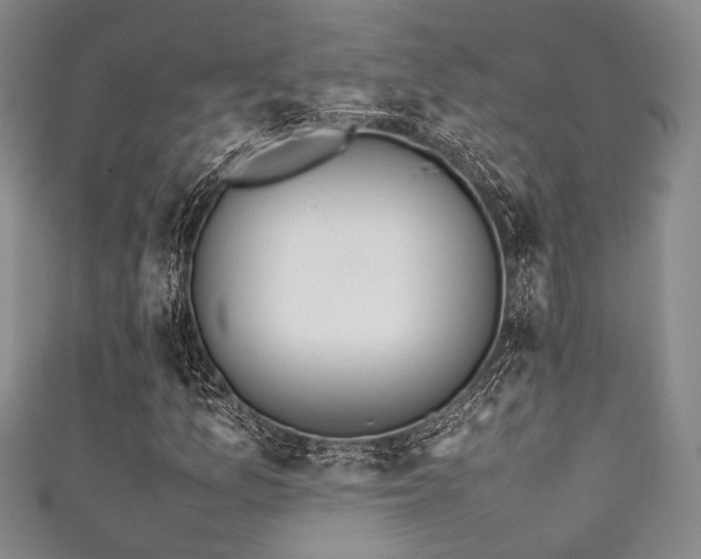 X0000111861157200907231446