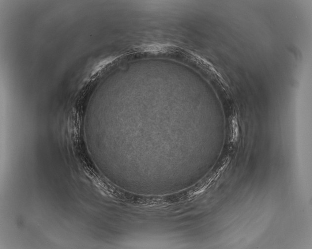 X0000111861158200907231446