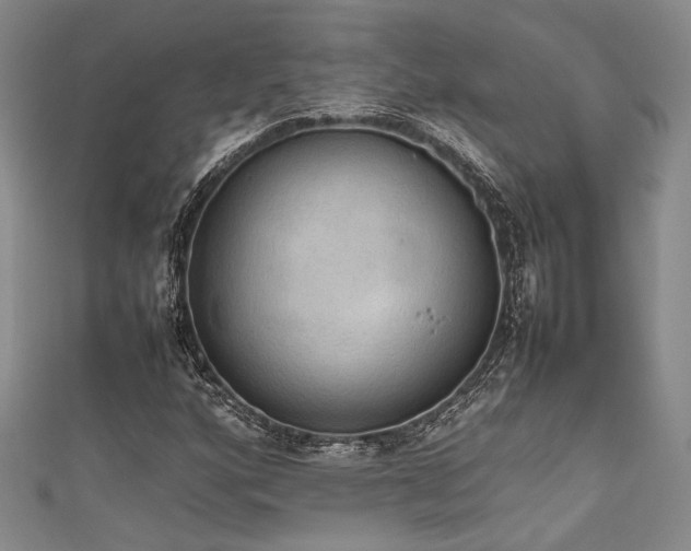 X0000111861160200907231446