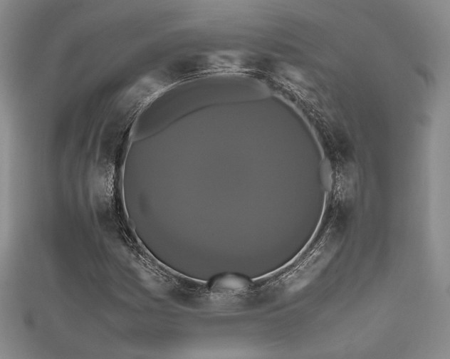 X0000111861161200907231446