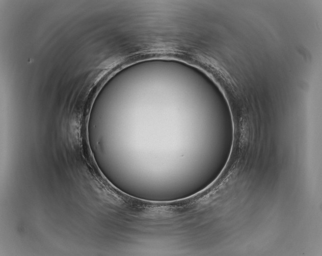 X0000111861162200907231446