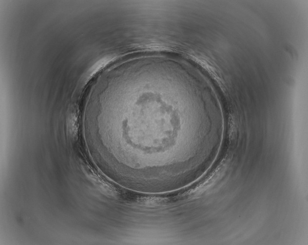 X0000111861163200907231446