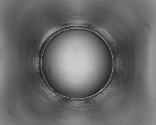 X0000111861164200907231446