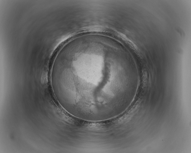 X0000111861166200907231446