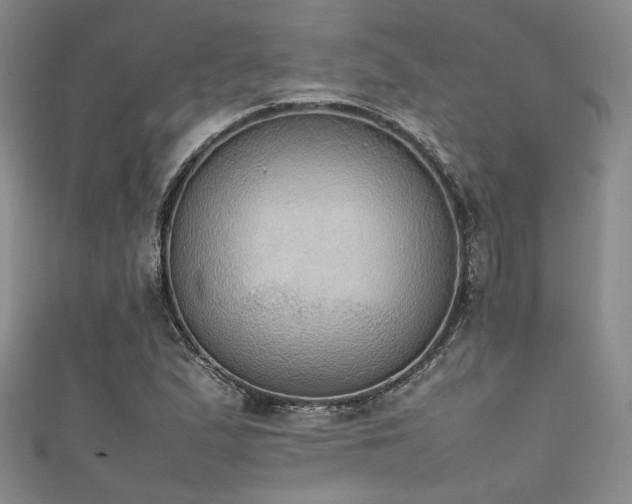 X0000111861167200907231446