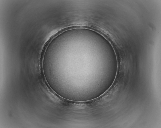 X0000111861168200907231446