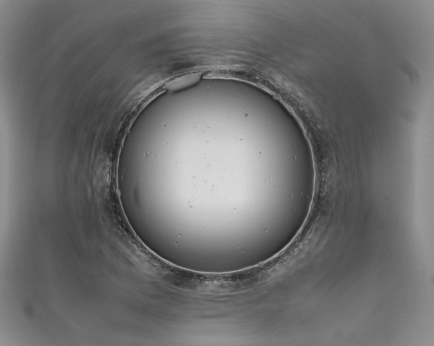 X0000111861169200907231446