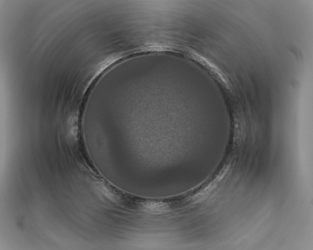X0000111861170200907231446