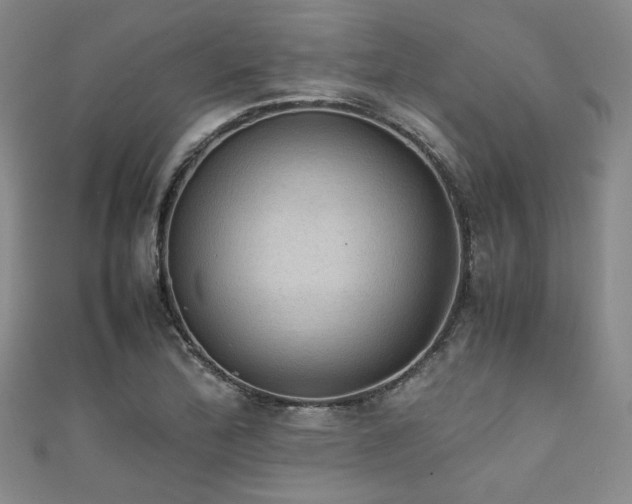 X0000111861172200907231446