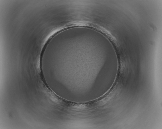 X0000111861174200907231446