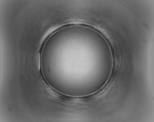 X0000111861175200907231446