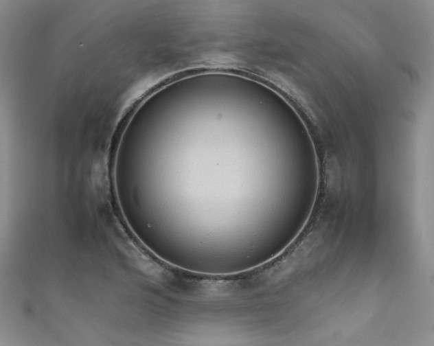 X0000111861176200907231446