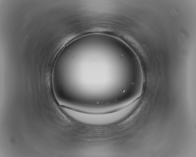 X0000111861177200907231446