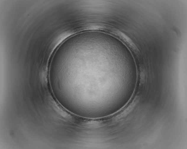 X0000111861178200907231446