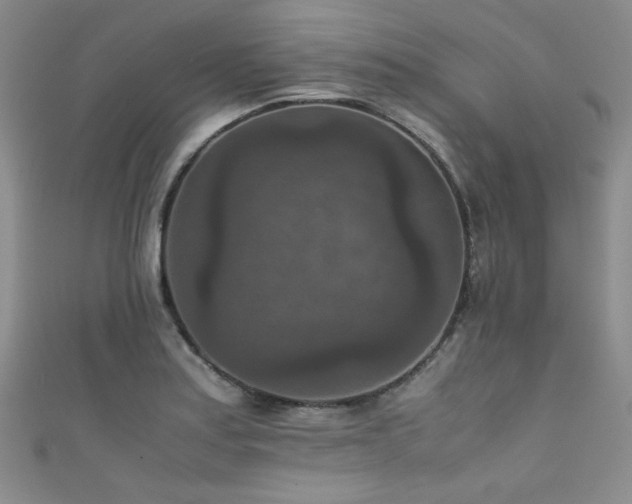 X0000111861179200907231446