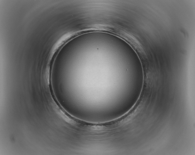 X0000111861180200907231446