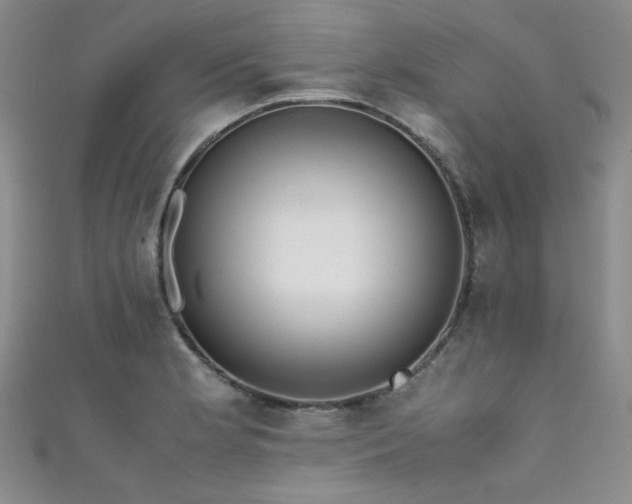 X0000111861181200907231446