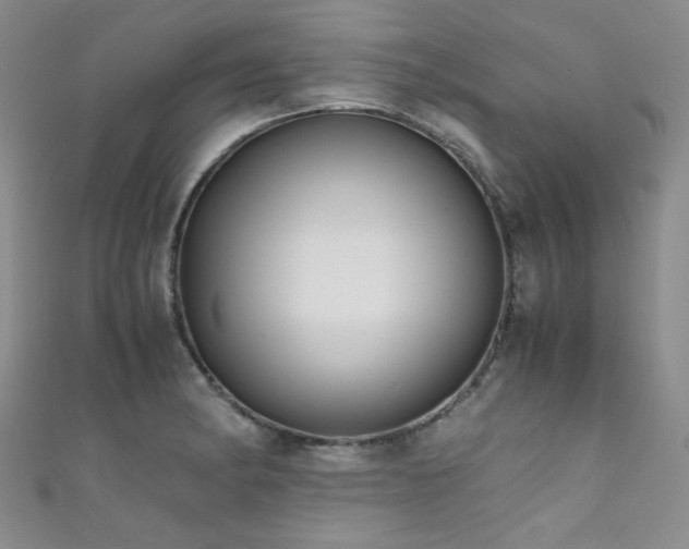 X0000111861182200907231446