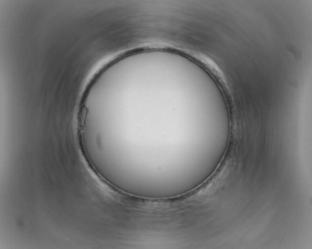 X0000111861183200907231445