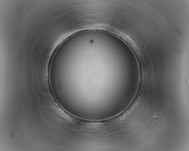 X0000111861184200907231445