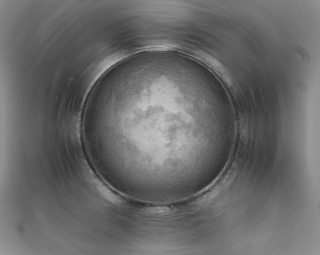 X0000111861186200907231445