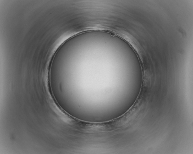 X0000111861187200907231445